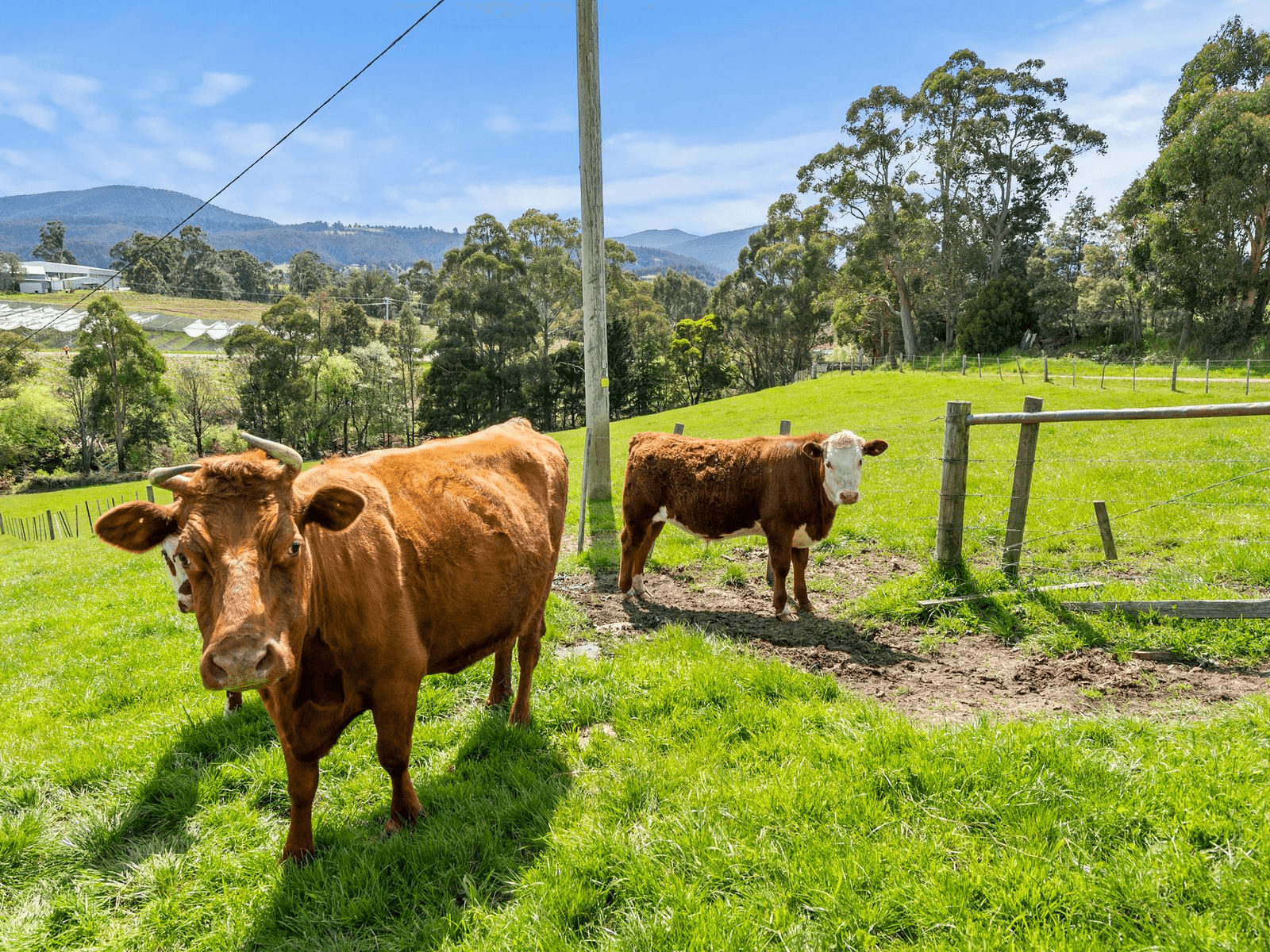 75 Longleys Road, Huonville, TAS 7109