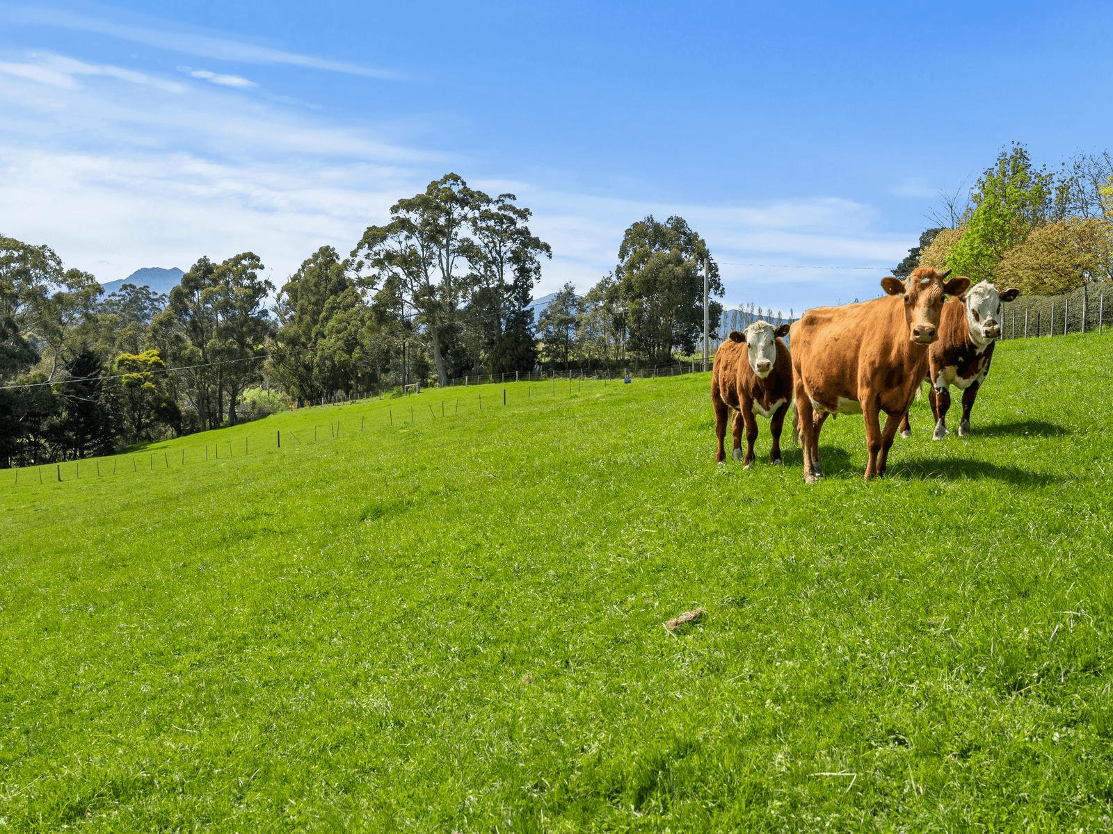 75 Longleys Road, Huonville, TAS 7109
