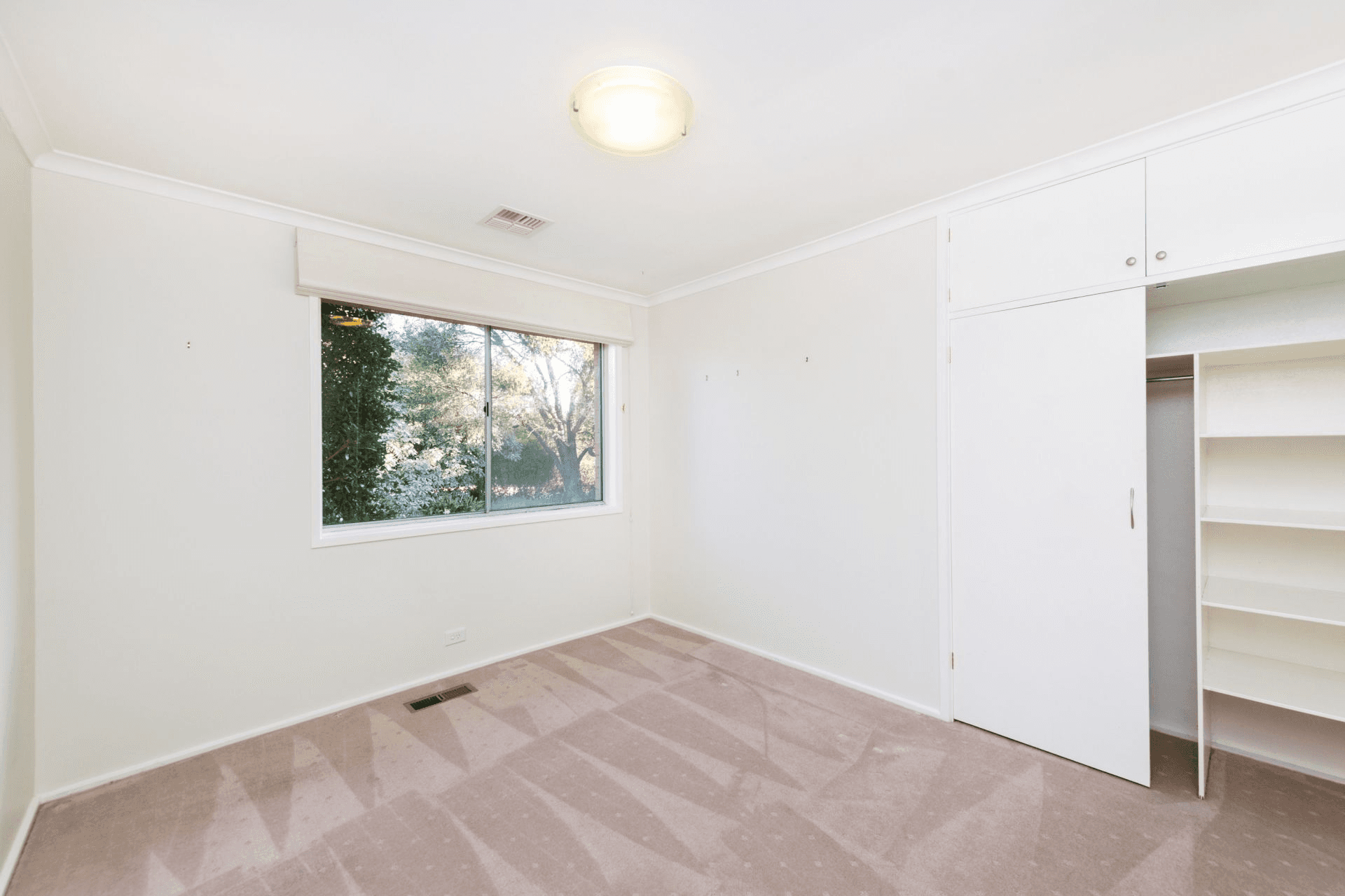 8 Duigan street, Scullin, ACT 2614