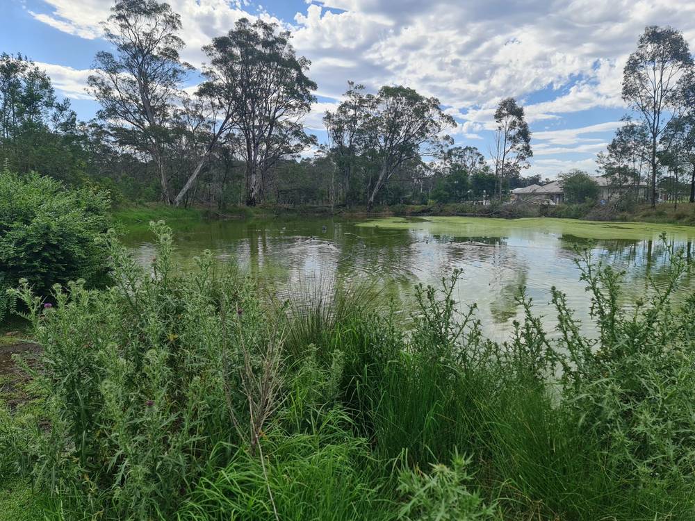 85 Stratford Road, Tahmoor, NSW 2573