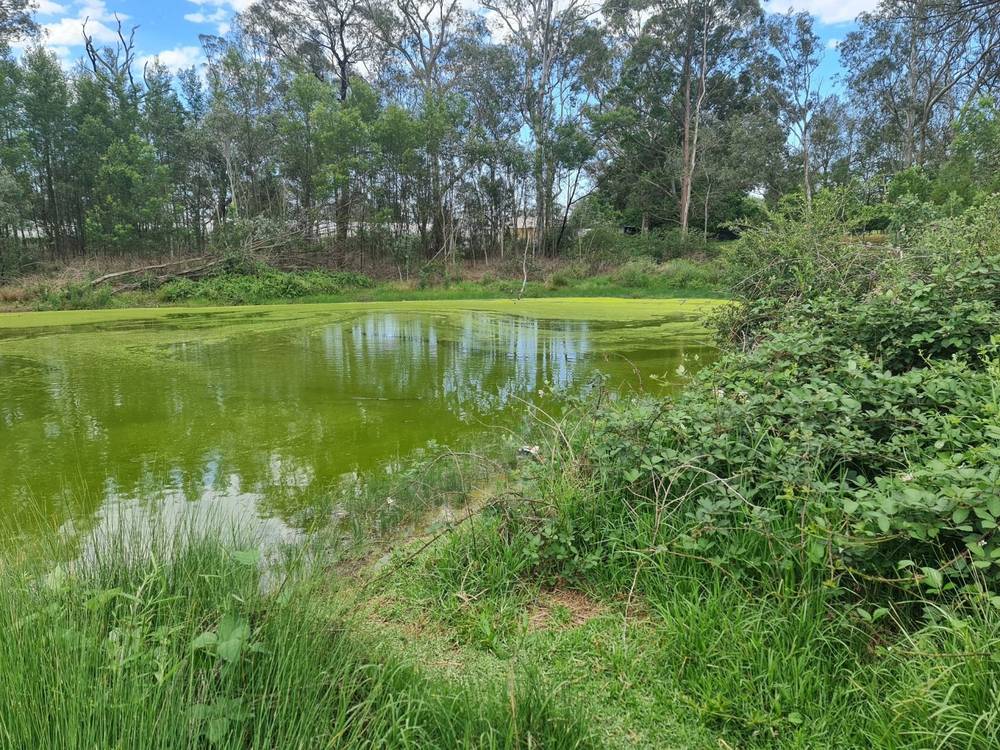 85 Stratford Road, Tahmoor, NSW 2573