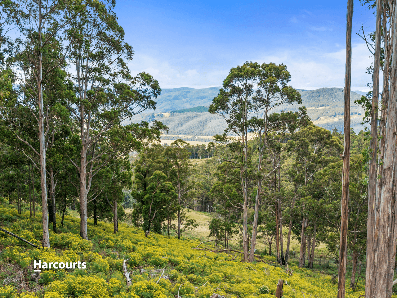 Lot 2 Lightwood Creek Road, GLEN HUON, TAS 7109