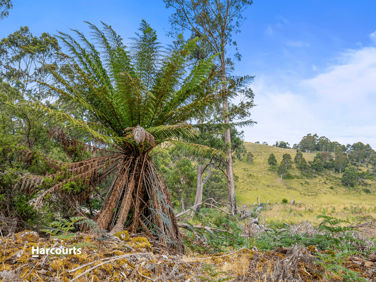 Lot 2 Lightwood Creek Road, GLEN HUON, TAS 7109