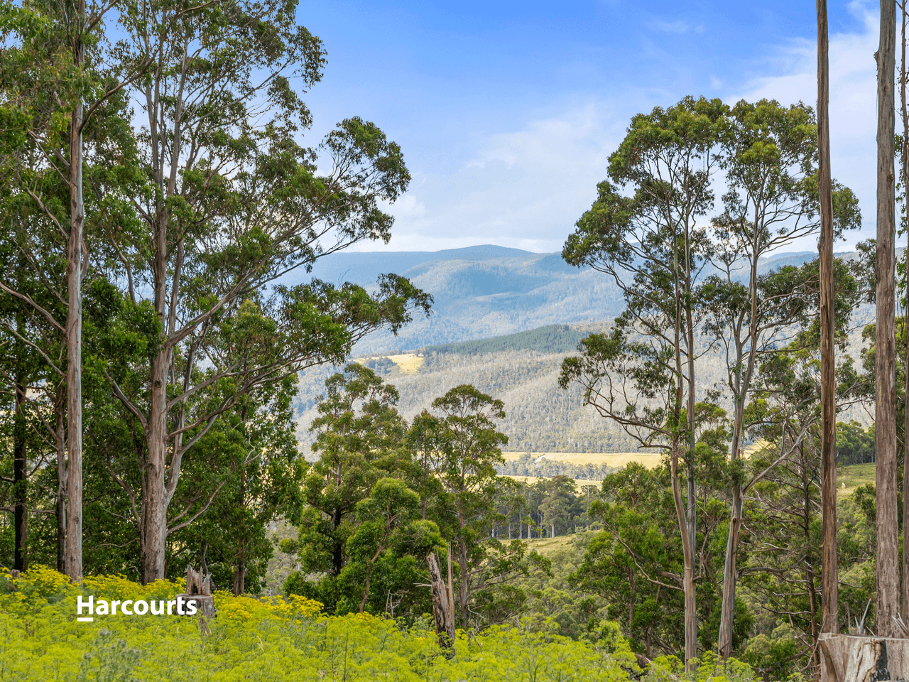 Lot 2 Lightwood Creek Road, GLEN HUON, TAS 7109