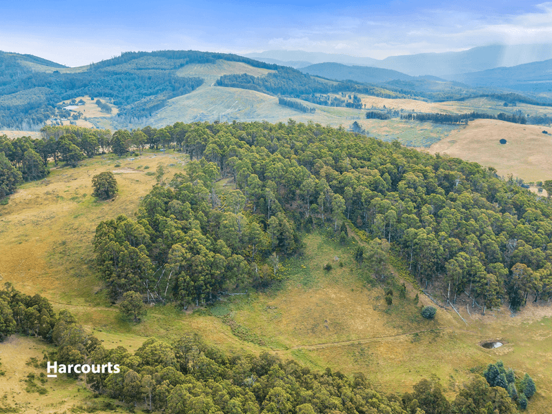 Lot 2 Lightwood Creek Road, GLEN HUON, TAS 7109