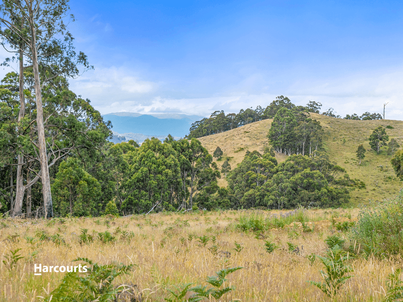 Lot 2 Lightwood Creek Road, GLEN HUON, TAS 7109