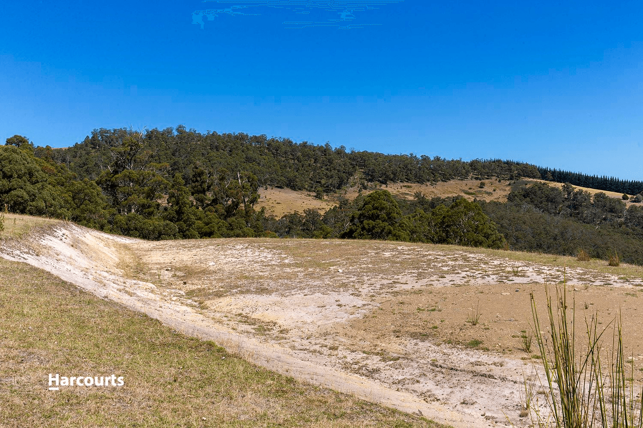 64 Boundary Creek Road, Judbury, TAS 7109