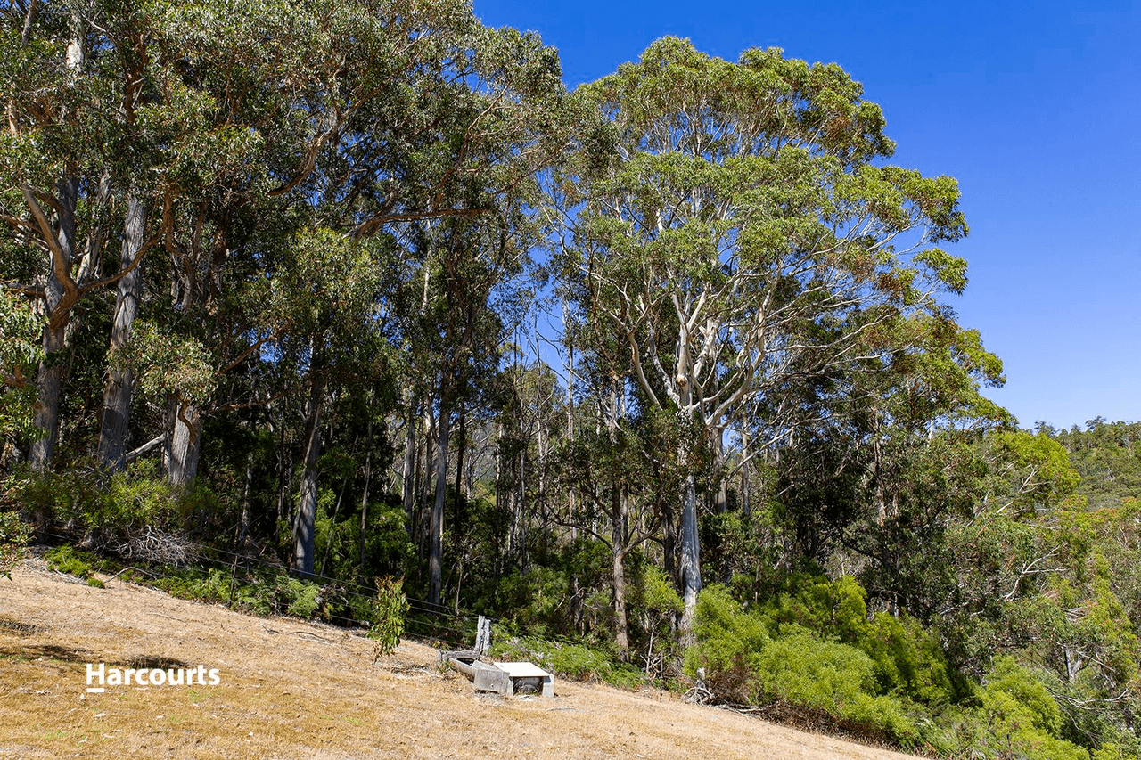 64 Boundary Creek Road, Judbury, TAS 7109