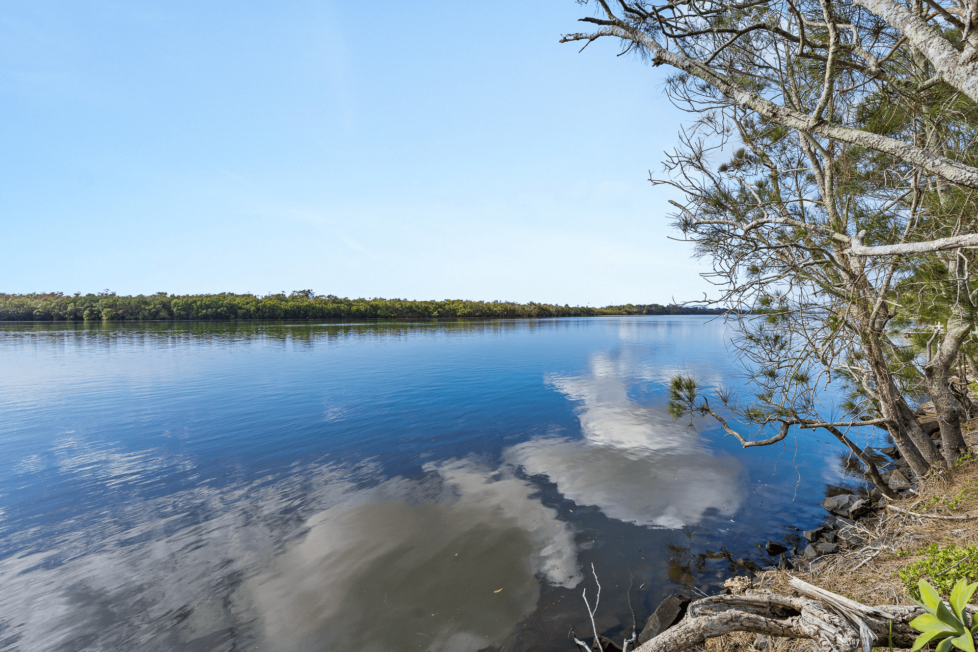 339 Riverbank Road, Pimlico, NSW 2478