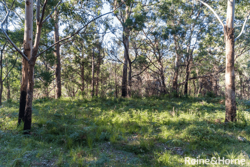 Lot 4 Selbys Road, BUDGONG, NSW 2577