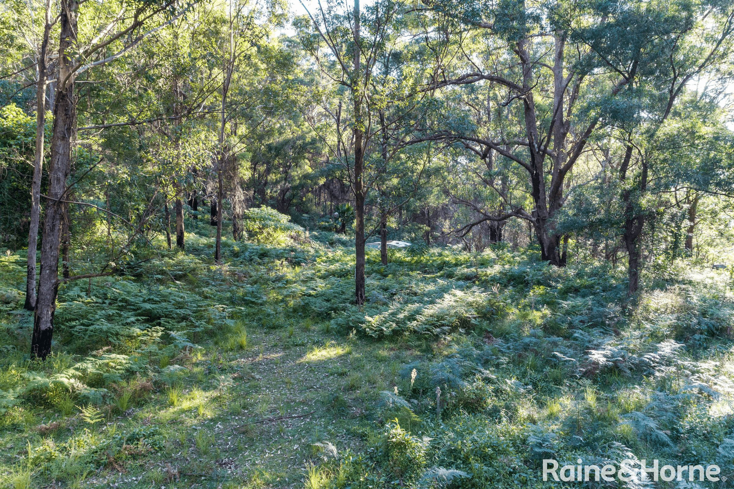 Lot 4 Selbys Road, BUDGONG, NSW 2577