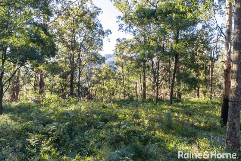 Lot 4 Selbys Road, BUDGONG, NSW 2577