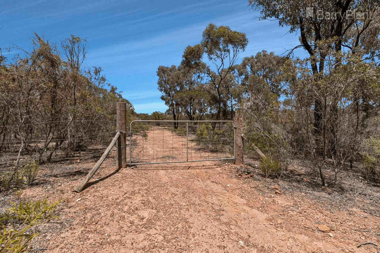 Tomas Street, Myers Flat, VIC 3556