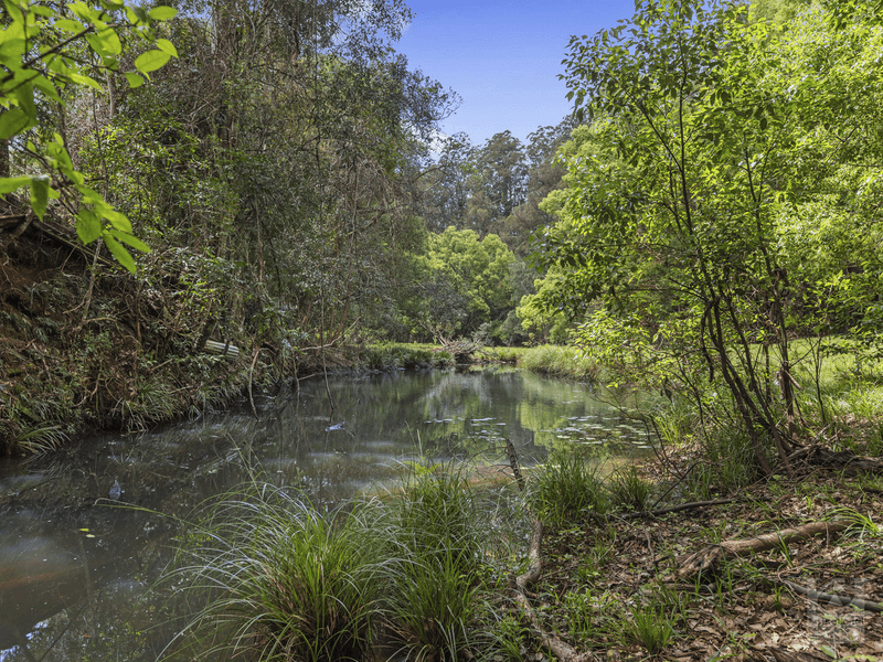 365 Rowlands creek Road, Rowlands Creek, NSW 2484