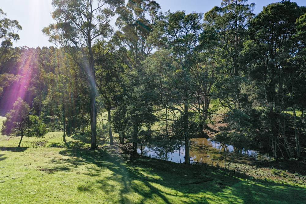 44 Beasleys Road, FRANKFORD, TAS 7275