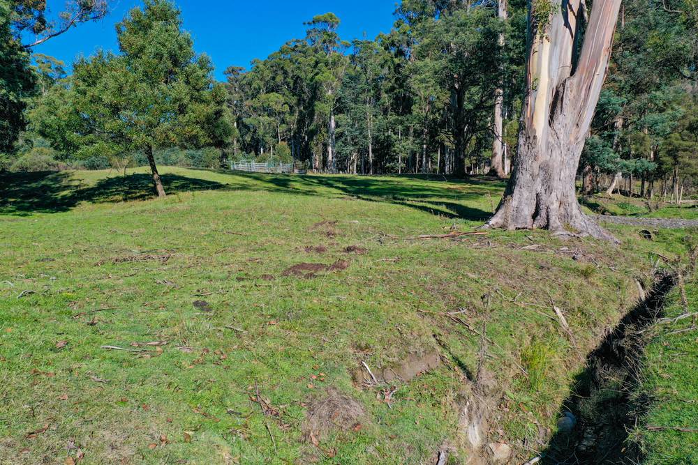 44 Beasleys Road, FRANKFORD, TAS 7275