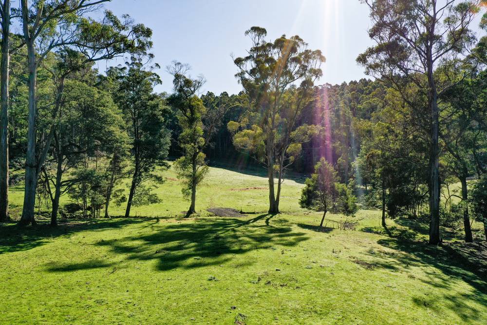 44 Beasleys Road, FRANKFORD, TAS 7275
