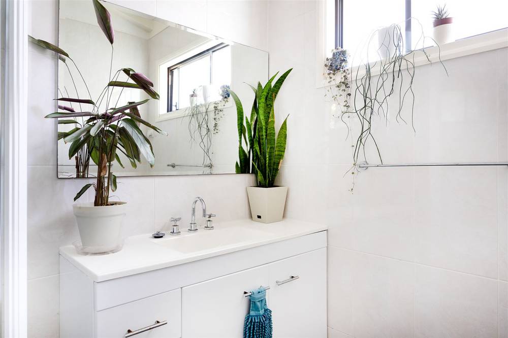 8 Ocean Street, MOLLYMOOK, NSW 2539