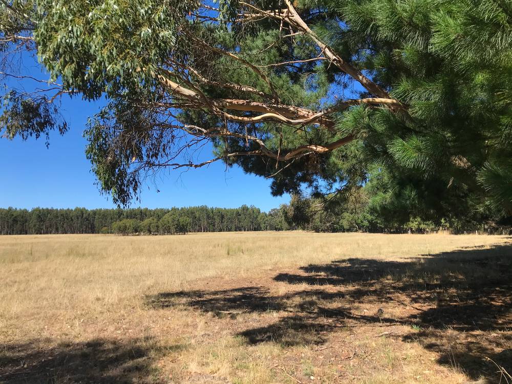 179 Coalmine Road, LAL LAL, VIC 3352