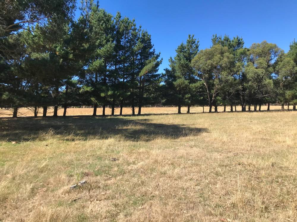 179 Coalmine Road, LAL LAL, VIC 3352