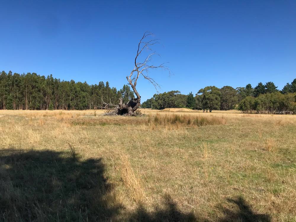 179 Coalmine Road, LAL LAL, VIC 3352