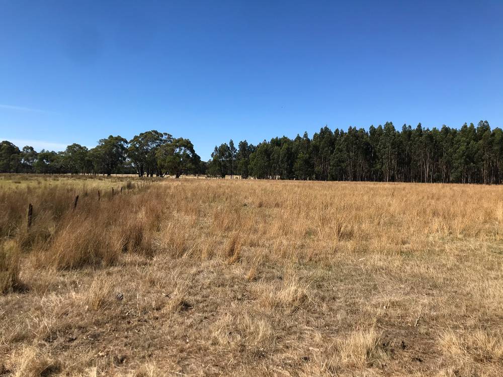 179 Coalmine Road, LAL LAL, VIC 3352