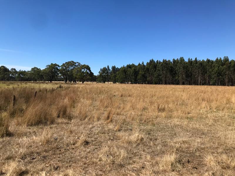 179 Coalmine Road, LAL LAL, VIC 3352