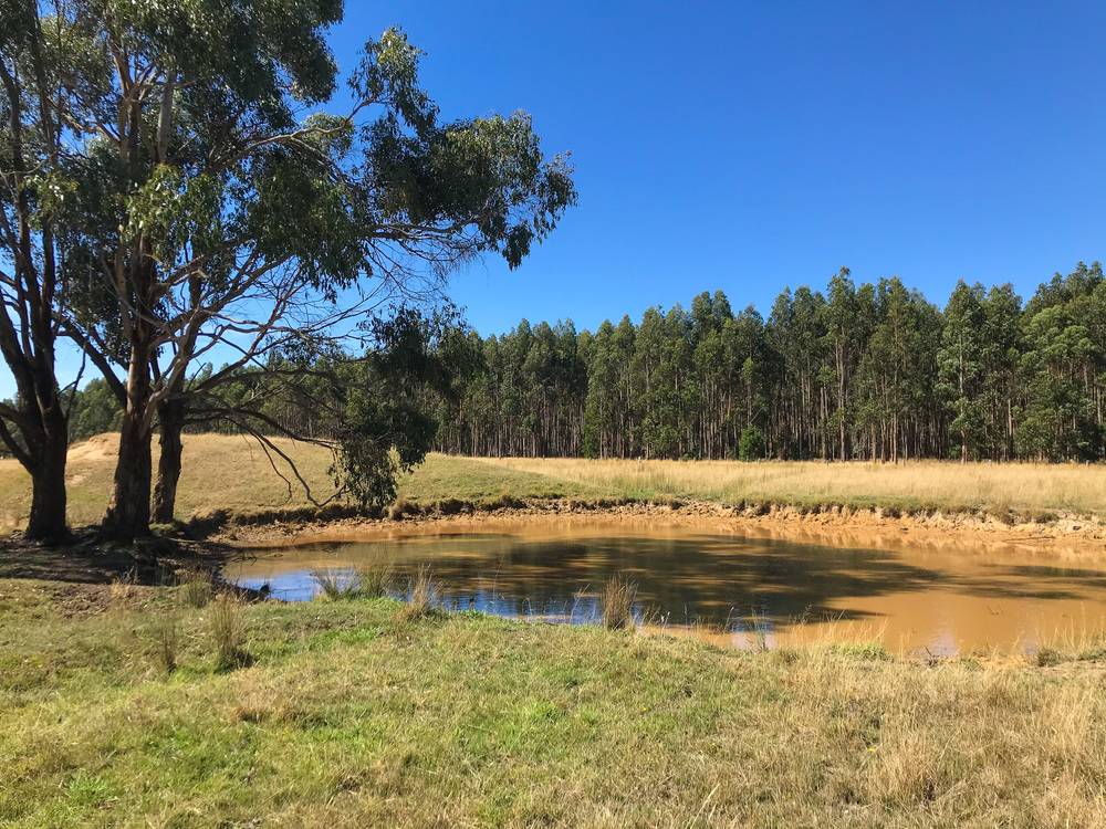 179 Coalmine Road, LAL LAL, VIC 3352