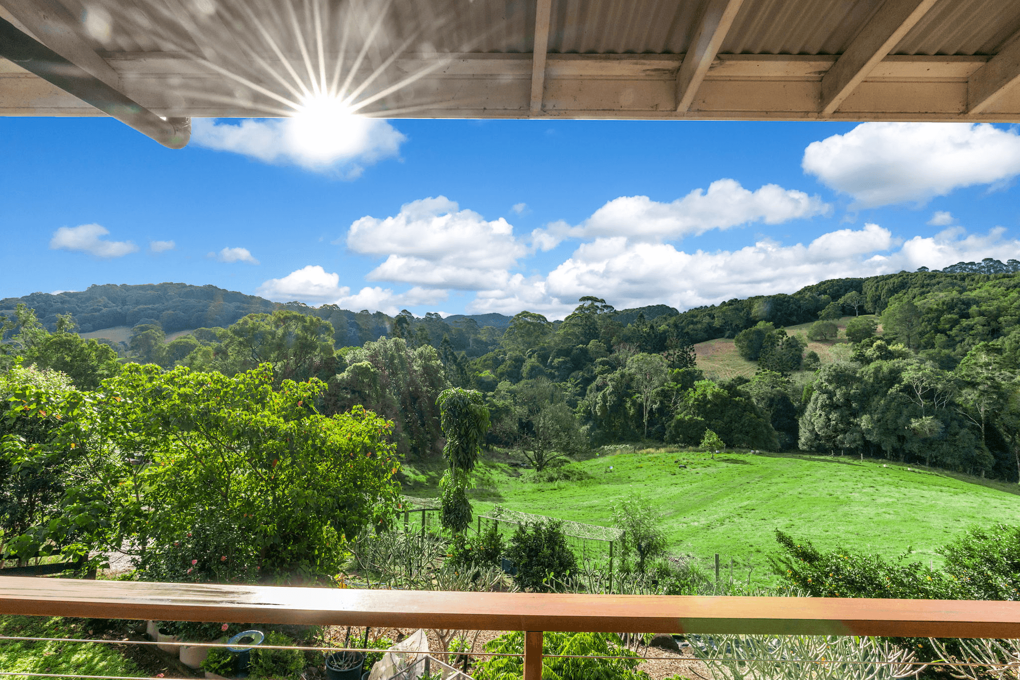 107 Risleys Hill Road, FEDERAL, NSW 2480