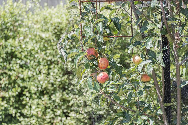 2 Roe Street, Moss Vale, NSW 2577