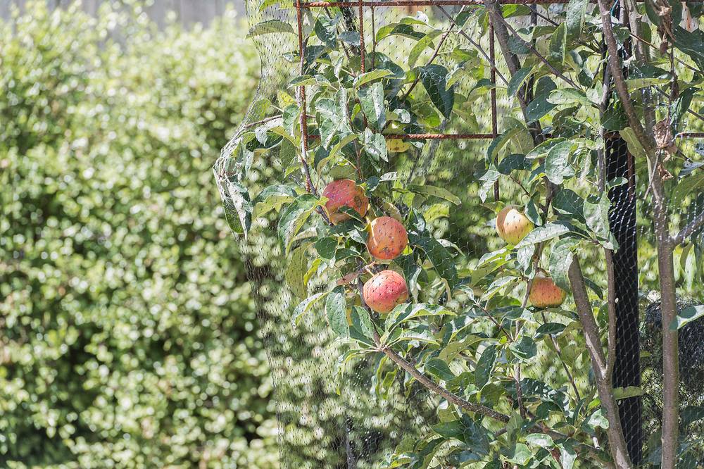 2 Roe Street, Moss Vale, NSW 2577