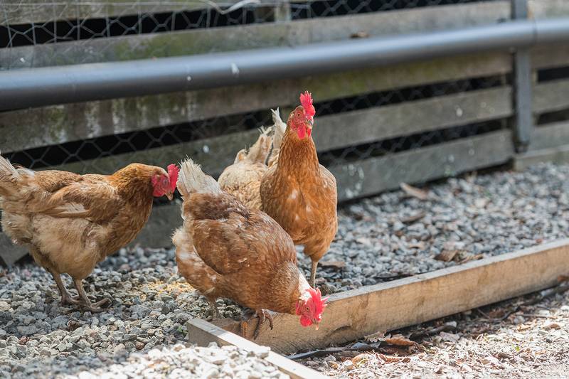 2 Roe Street, Moss Vale, NSW 2577