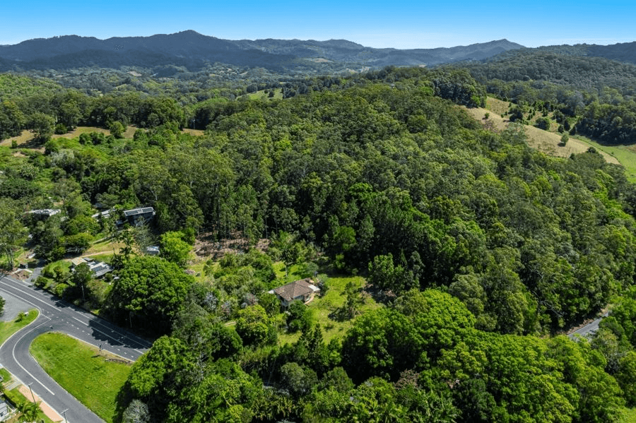 6439 Tweed Valley Way, BURRINGBAR, NSW 2483