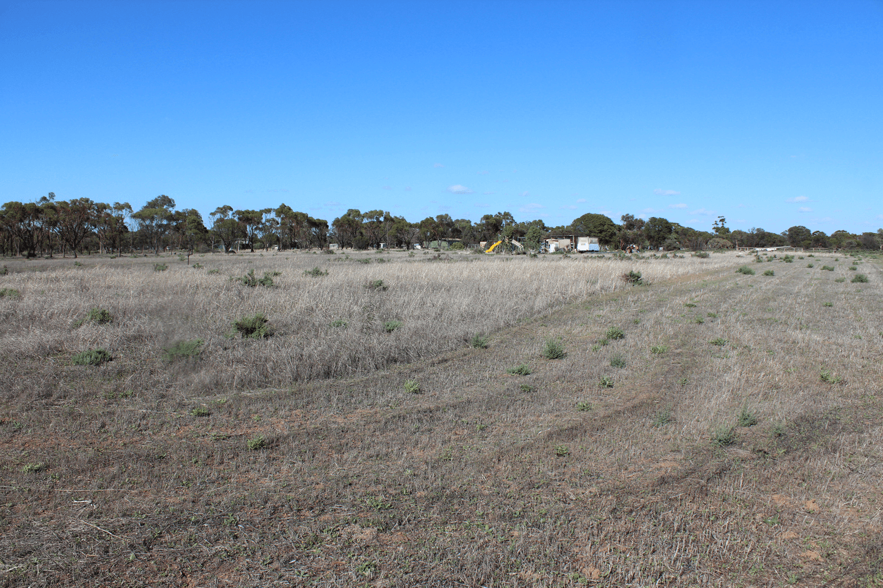 198  Dowerin-Meckering Rd Road, MECKERING, WA 6405