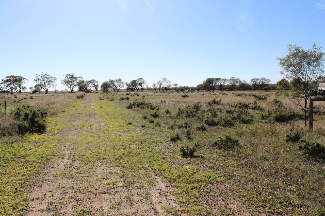 198  Dowerin-Meckering Rd Road, MECKERING, WA 6405