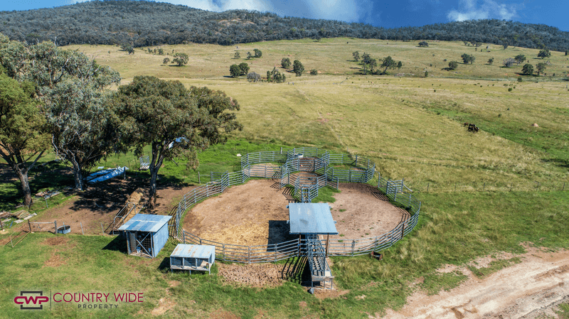 3081 Rocky Creek Road, ROCKY CREEK, NSW 2371