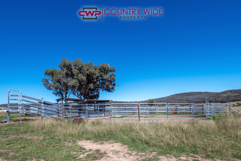 3081 Rocky Creek Road, ROCKY CREEK, NSW 2371