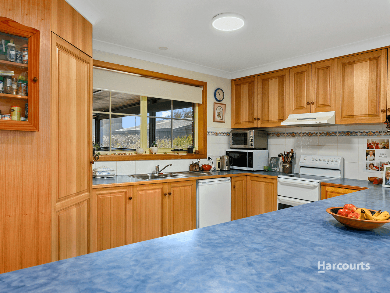 5 Walters Drive, ORFORD, TAS 7190