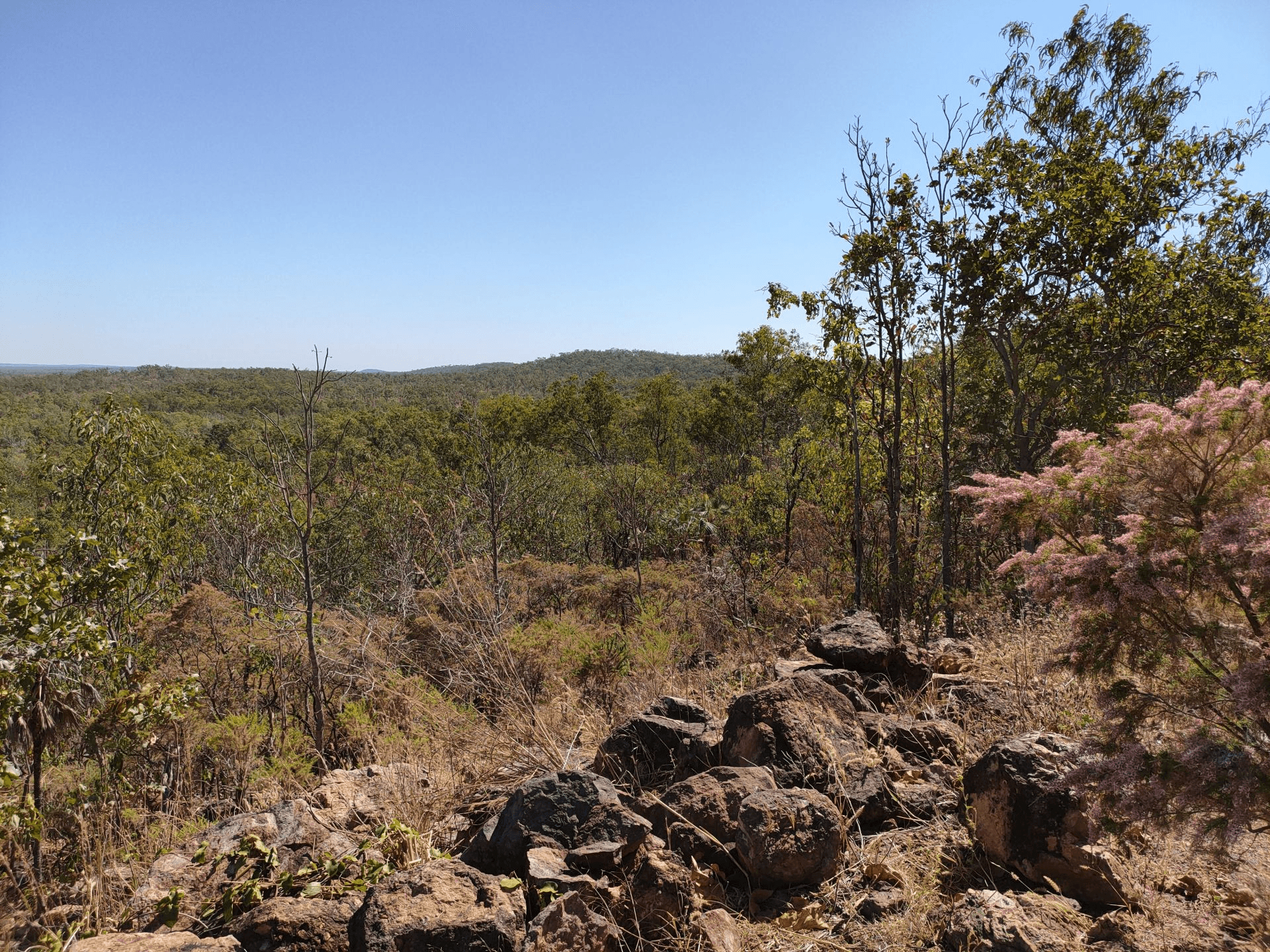 440 Miles Road, EVA VALLEY, NT 0822