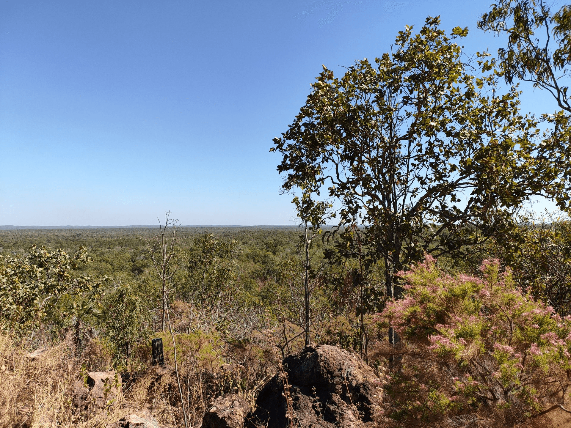 440 Miles Road, EVA VALLEY, NT 0822