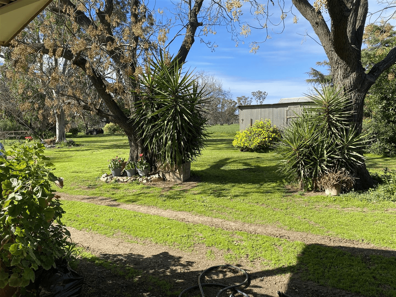 127 Orr's Road, Cohuna, VIC 3568