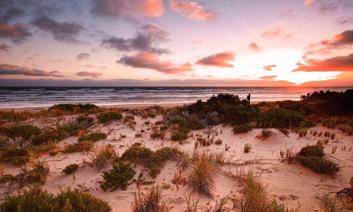 20 Dowland Street, Goolwa, SA 5214