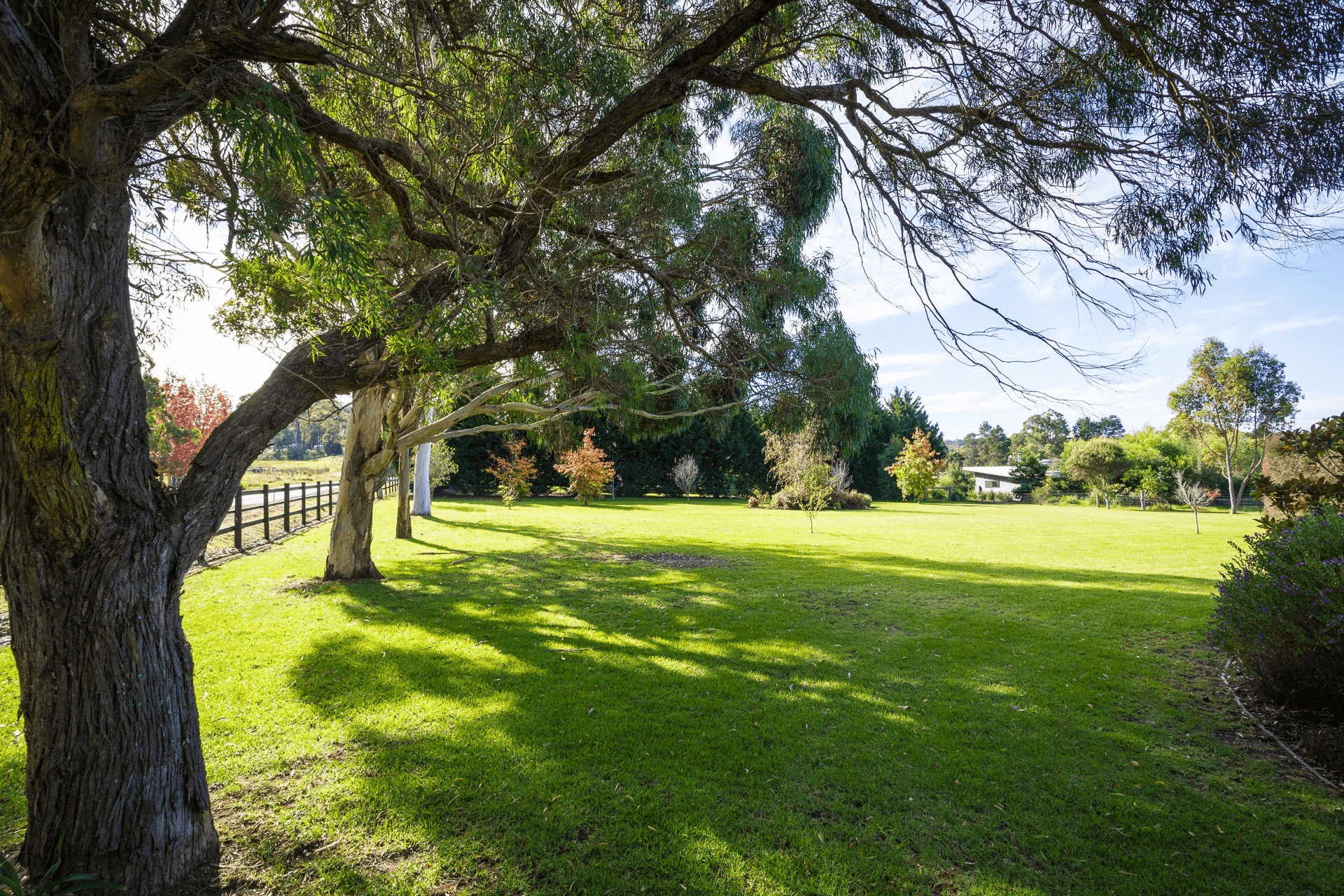 99 Oaklands Road Road, Pambula, NSW 2549
