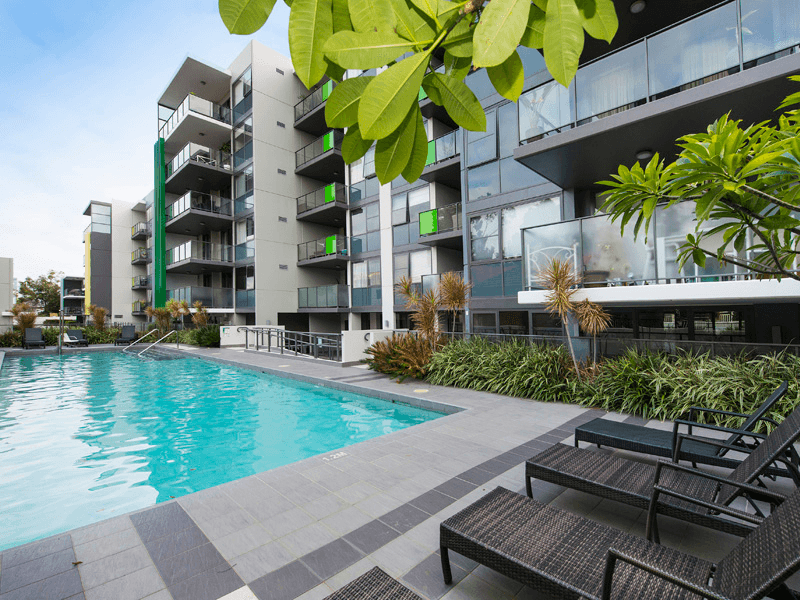 17/131  Harold Street, HIGHGATE, WA 6003