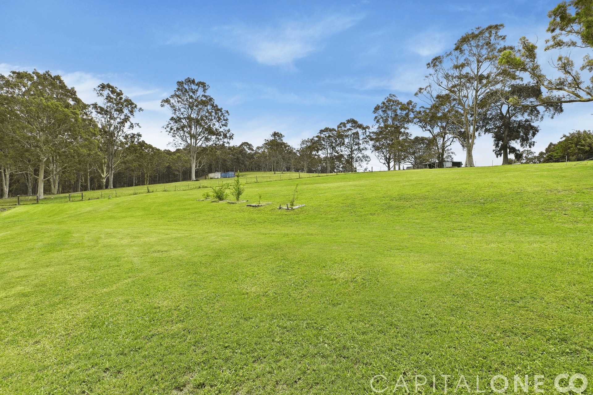 878 Jilliby Road, Dooralong, NSW 2259