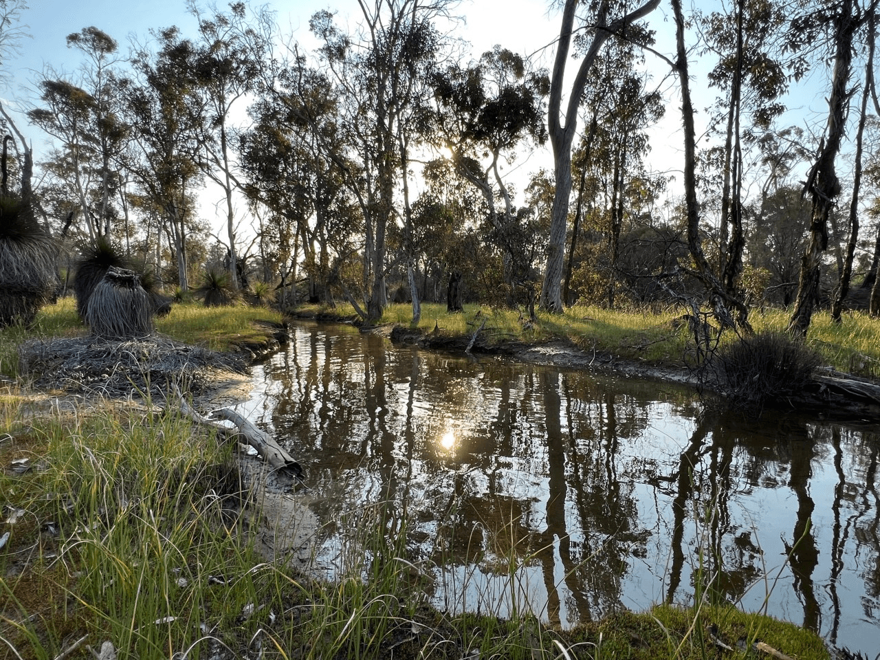 Lot 900, 257 Chalk Brook Road, BANNISTER, WA 6390