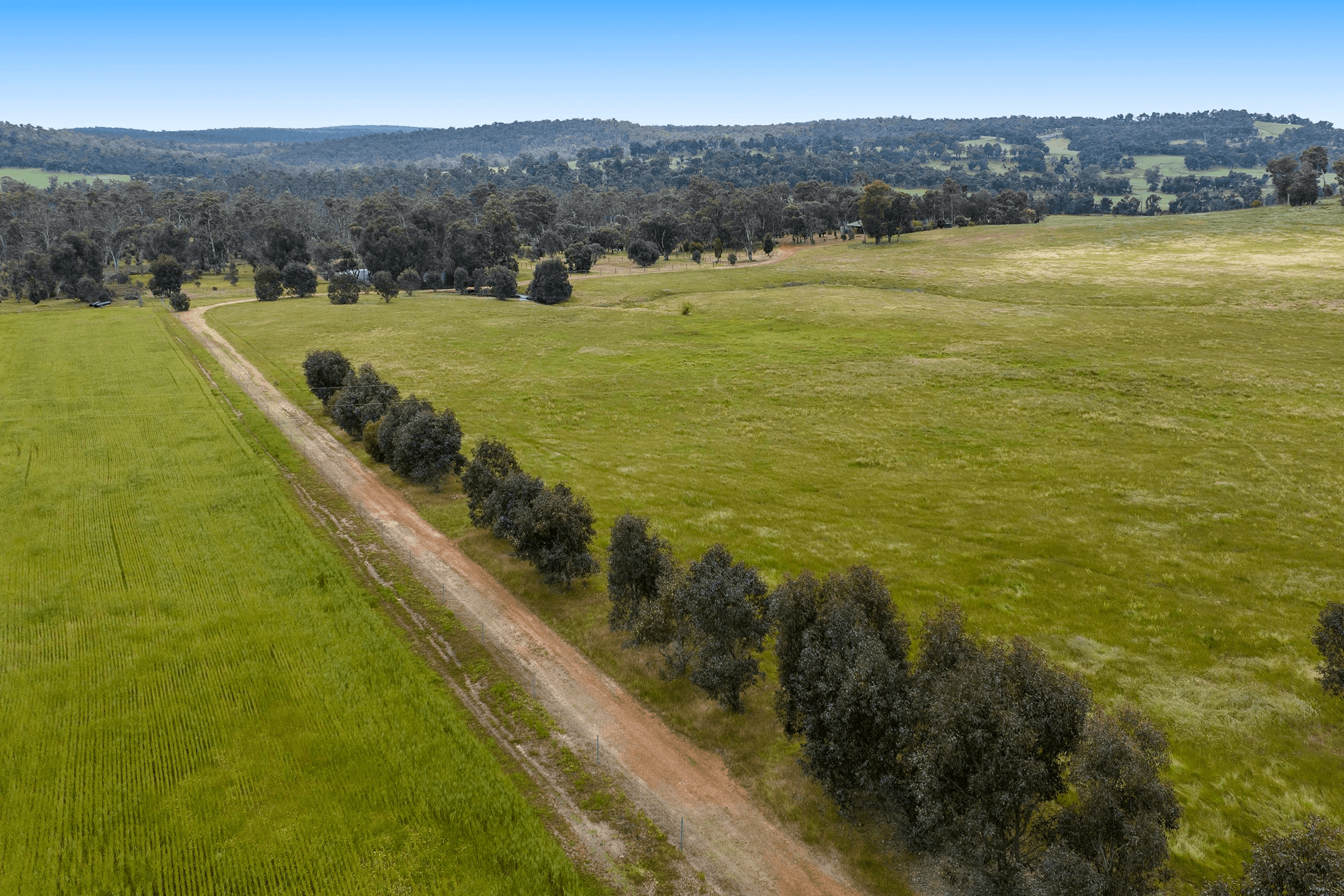 Lot 900, 257 Chalk Brook Road, BANNISTER, WA 6390