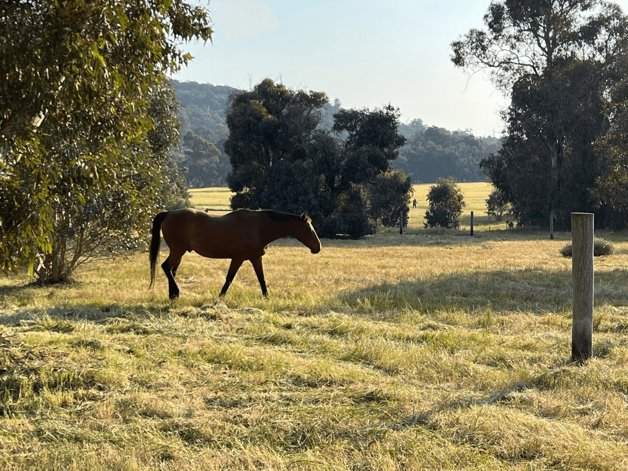 Lot 900, 257 Chalk Brook Road, BANNISTER, WA 6390