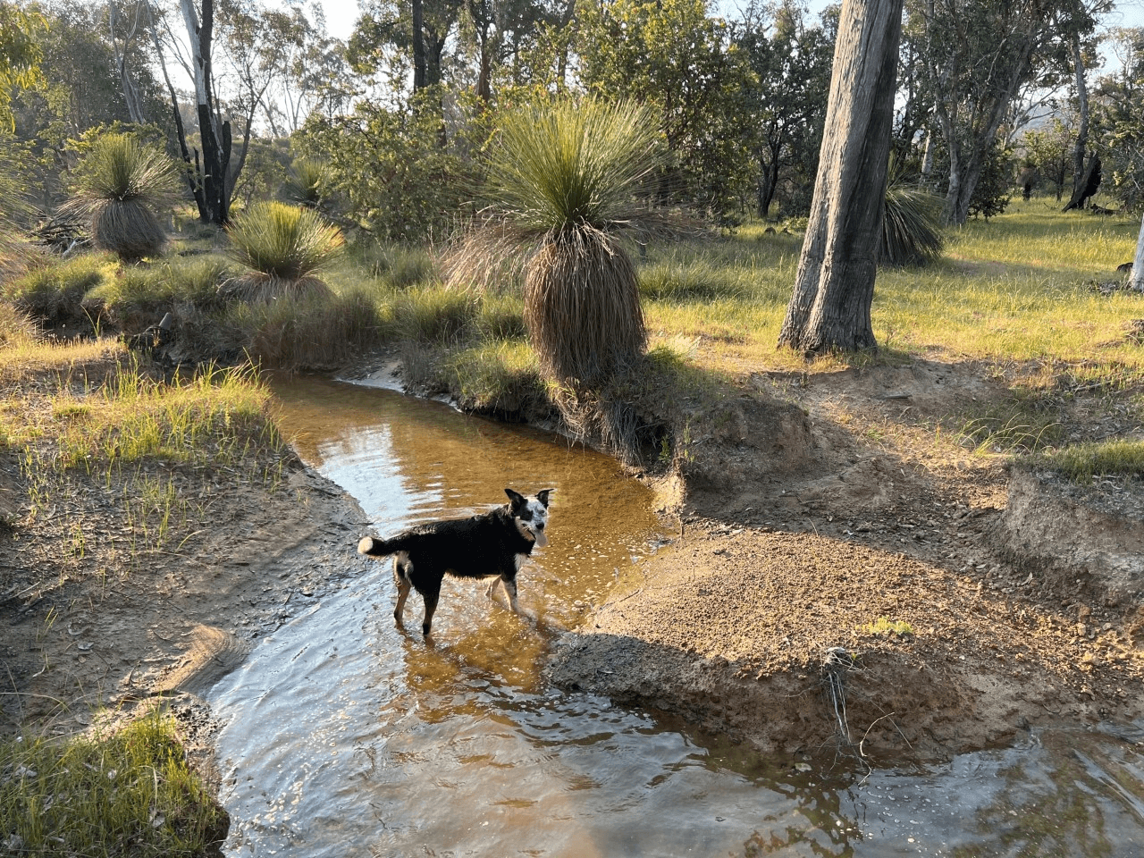 Lot 900, 257 Chalk Brook Road, BANNISTER, WA 6390