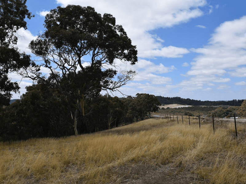 5 Greenwood Road, MURRUMBATEMAN, NSW 2582